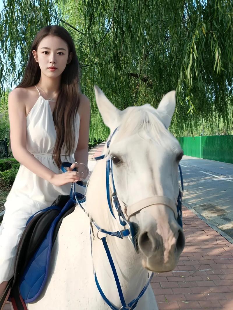 丝袜捆绑挣扎口球勒嘴